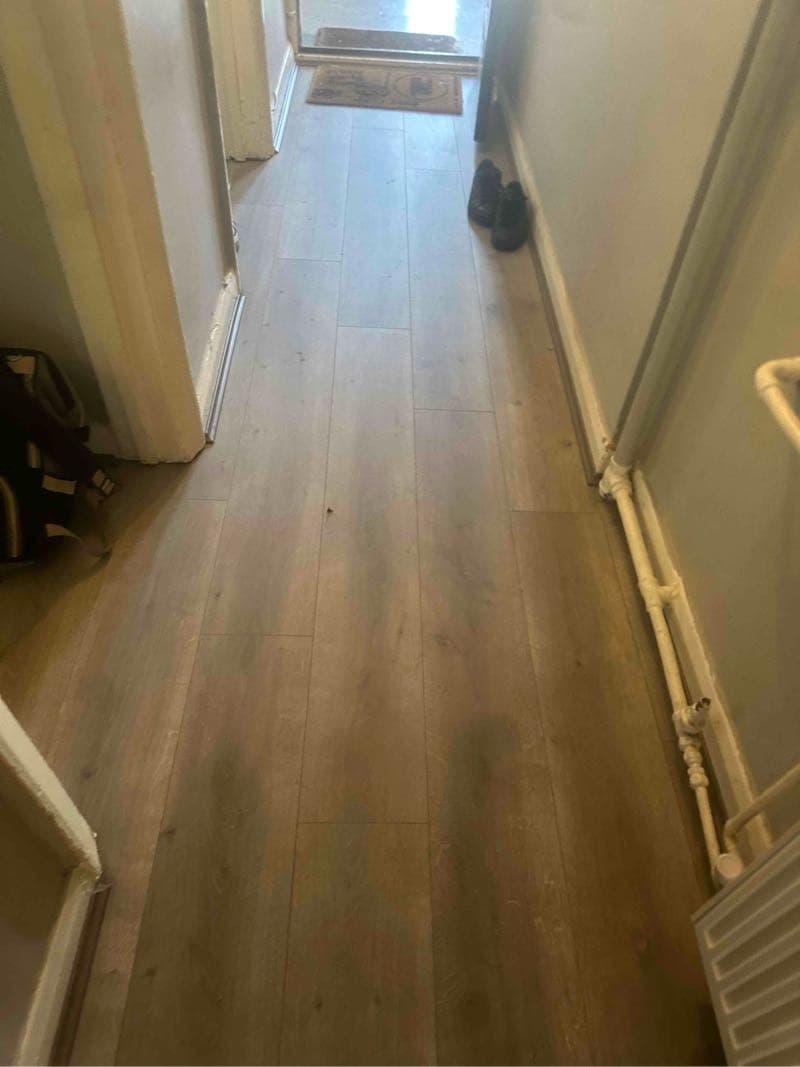 Carpet e Laminado  - Photo 3